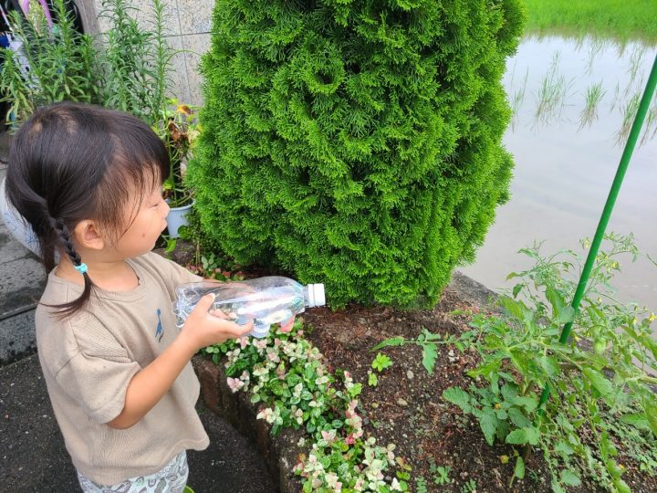 2024年　SUNSHOW夢ハウス🌻お客様感謝祭